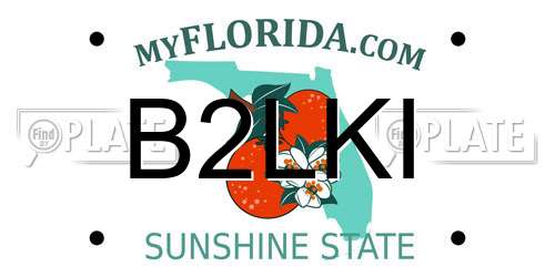 B2LKI Florida License Plate
