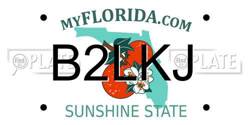 B2LKJ Florida License Plate