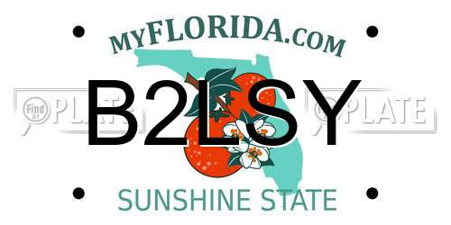 B2LSY Florida License Plate