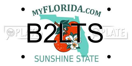 B2LTS Florida License Plate