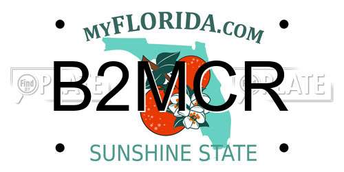 B2MCR Florida License Plate