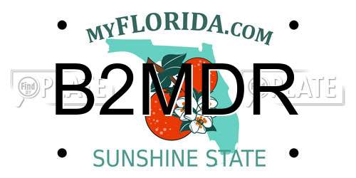 B2MDR Florida License Plate