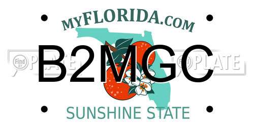 B2MGC Florida License Plate