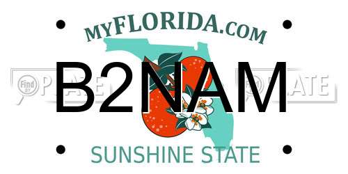 B2NAM Florida License Plate