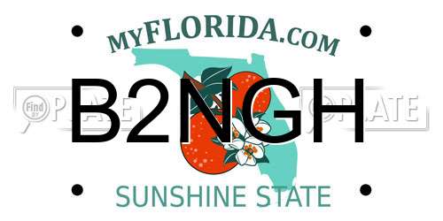 B2NGH Florida License Plate