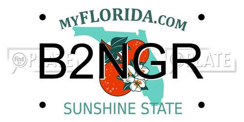 B2NGR Florida License Plate
