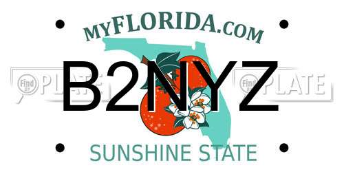 B2NYZ Florida License Plate