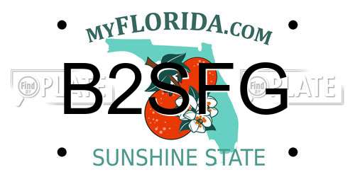 B2SFG Florida License Plate