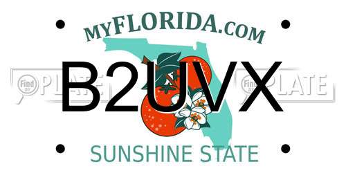 B2UVX Florida License Plate