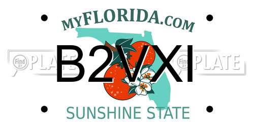 B2VXI Florida License Plate