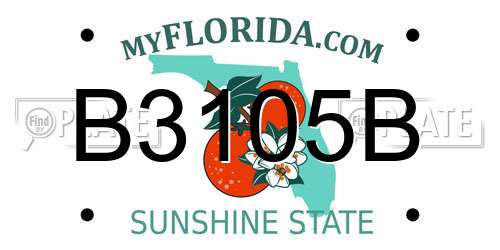 B3105B Florida License Plate