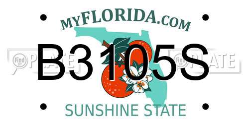 B3105S Florida License Plate