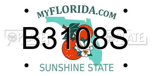 B3108S Florida License Plate