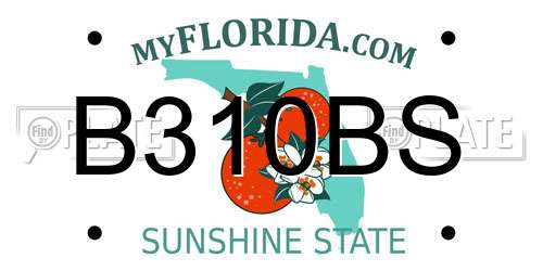 B310BS Florida License Plate