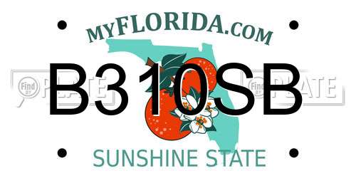 B310SB Florida License Plate