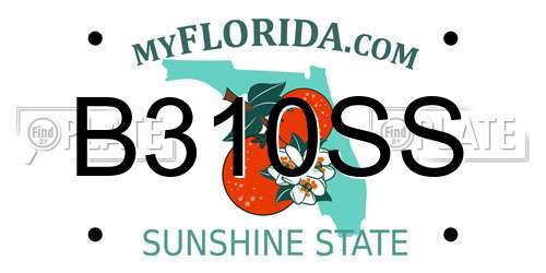 B310SS Florida License Plate