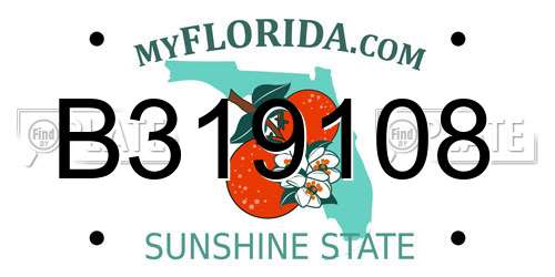 B319108 Florida License Plate
