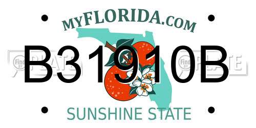 B31910B Florida License Plate