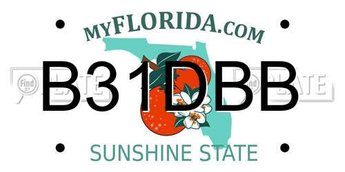 B31DBB Florida License Plate