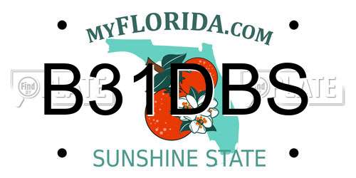 B31DBS Florida License Plate