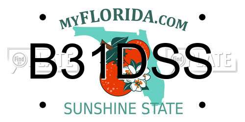 B31DSS Florida License Plate