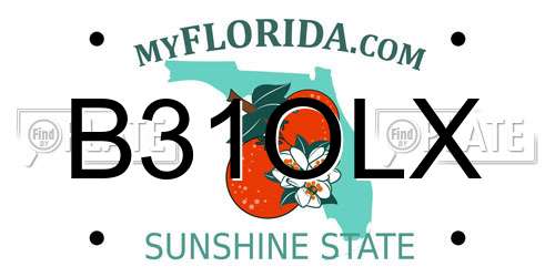 B31OLX Florida License Plate
