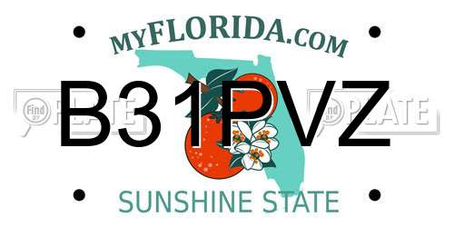 B31PVZ Florida License Plate