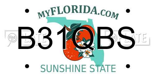 B31QBS Florida License Plate