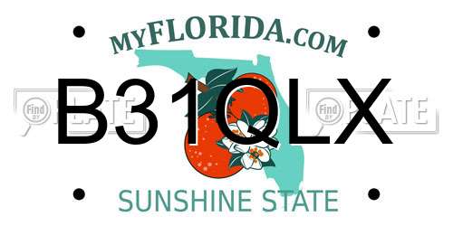 B31QLX Florida License Plate