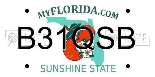 B31QSB Florida License Plate