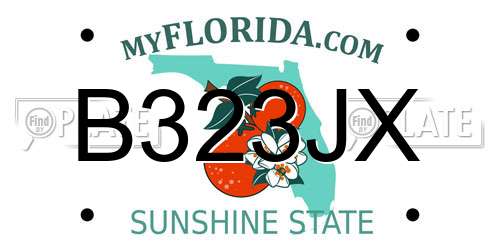 B323JX Florida License Plate