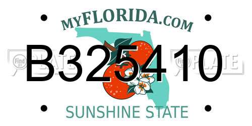 B325410 Florida License Plate