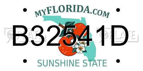 B32541D Florida License Plate