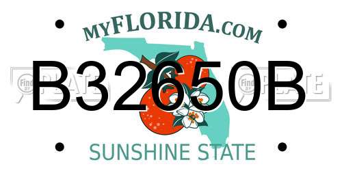 B32650B Florida License Plate