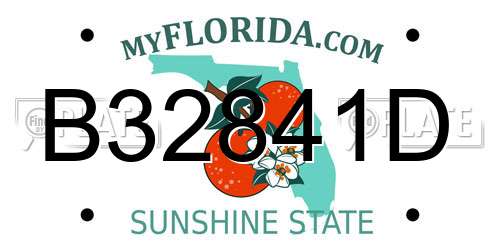 B32841D Florida License Plate