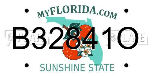 B32841O Florida License Plate