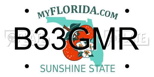 B33GMR Florida License Plate