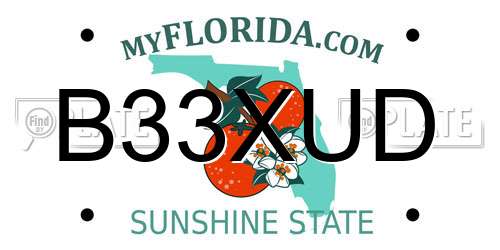 B33XUD Florida License Plate