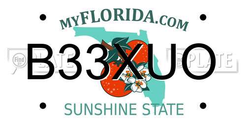B33XUO Florida License Plate