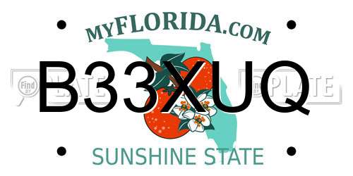 B33XUQ Florida License Plate