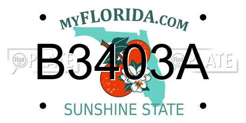 B3403A Florida License Plate