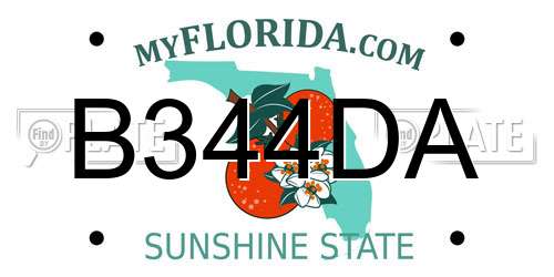 B344DA Florida License Plate