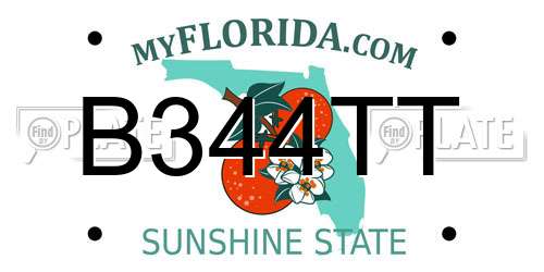 B344TT Florida License Plate