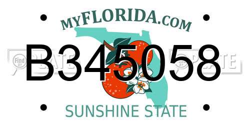 B345058 Florida License Plate