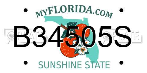 B34505S Florida License Plate