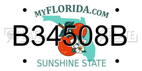 B34508B Florida License Plate