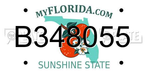 B348055 Florida License Plate