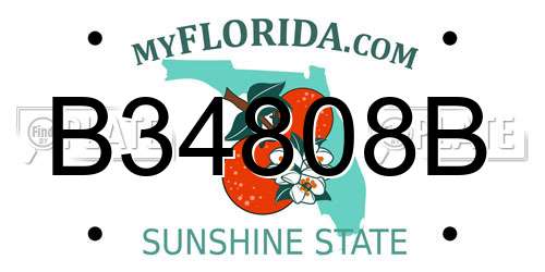B34808B Florida License Plate