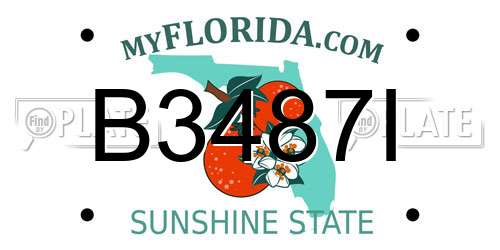 B3487I Florida License Plate