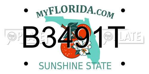 B3491T Florida License Plate